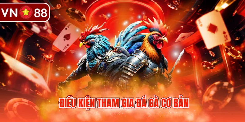 Điều kiện tham gia đá gà cơ bản