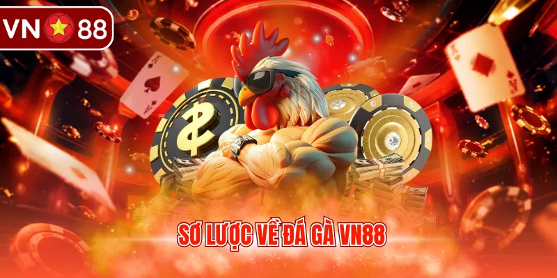 Sơ lược về đá gà VN88